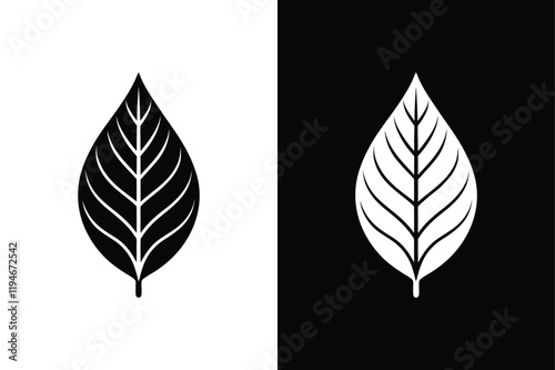 Sorrel icon vector on White Background ,Vector Art Illustration on white background.