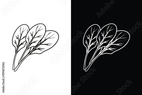 Spinach icon vector on White Background ,Vector Art Illustration on white background.