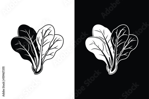 Spinach icon vector on White Background ,Vector Art Illustration on white background.