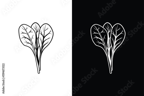 Spinach icon vector on White Background ,Vector Art Illustration on white background.