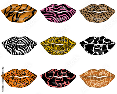 Set of animalistic prints on lips, stylish make up on part of face for design