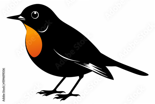 American Robin bird silhouette black vector art illustration.