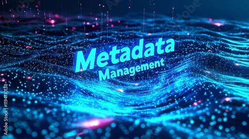 Digital landscape with 'metadata management' text, symbolizing data organization and control.