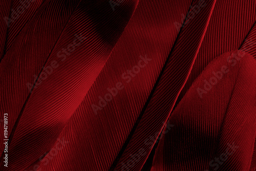 Beautiful dark red feather pattern texture background