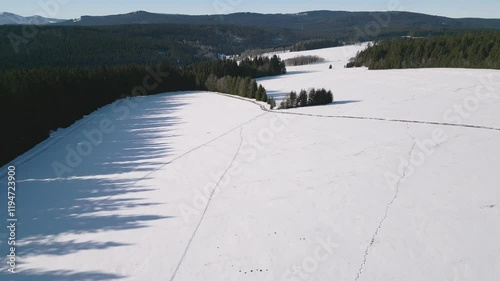 Wallpaper Mural Snow winter cross country cross-country skiing aerial drone 4k footage Torontodigital.ca