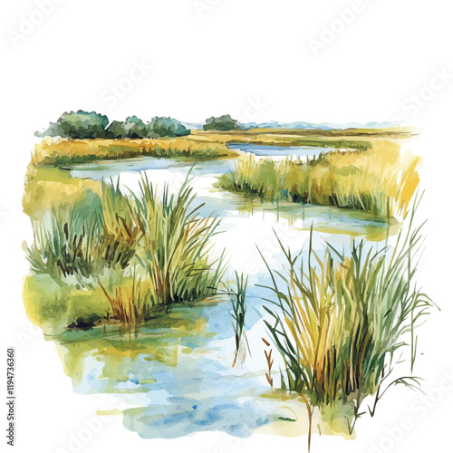A watercolor of wetlands, isolated on a white background. Wetlands vector.
