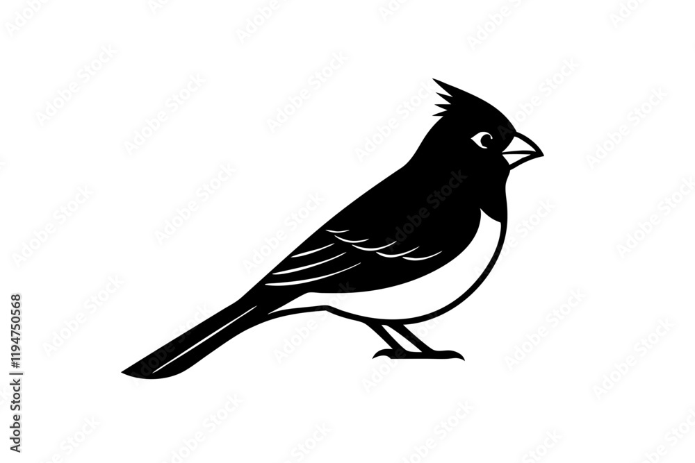Obraz premium Northern Cardinal bird line art vector art illustration.