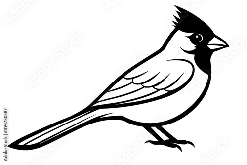  Northern Cardinal bird line art vector art illustration.