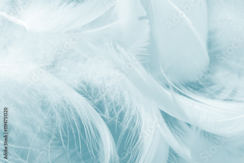Beautiful green turquoise vintage color trends feather pattern texture background photo