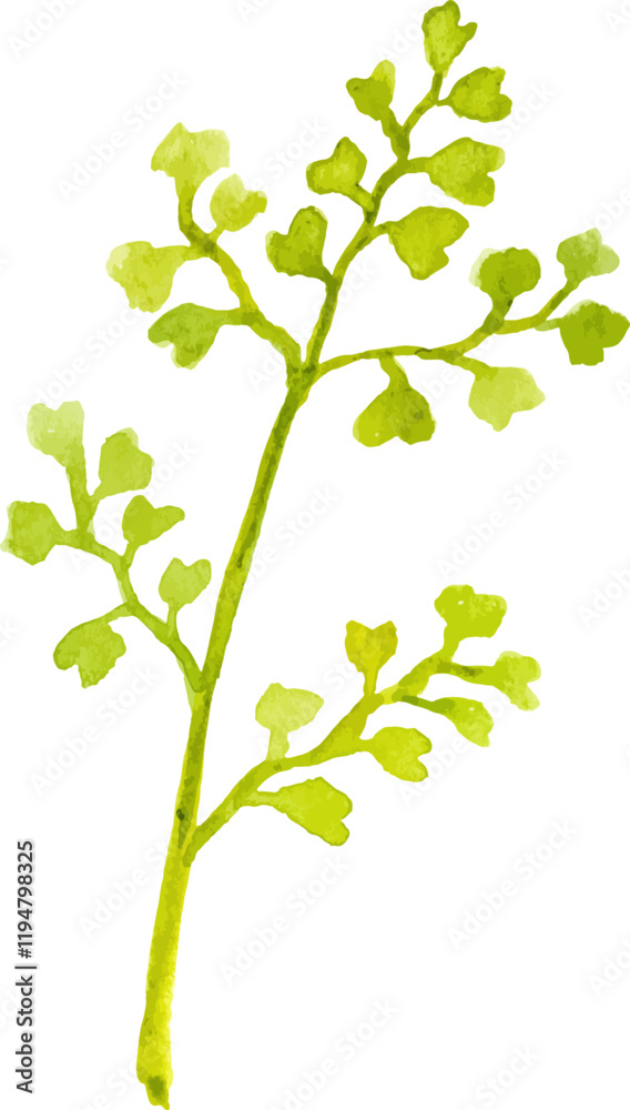 Watercolor painted flower branch Hand drawn flower design element isolated on white background Watercolor painted flower branch Hand drawn flower design element isolated on white background
