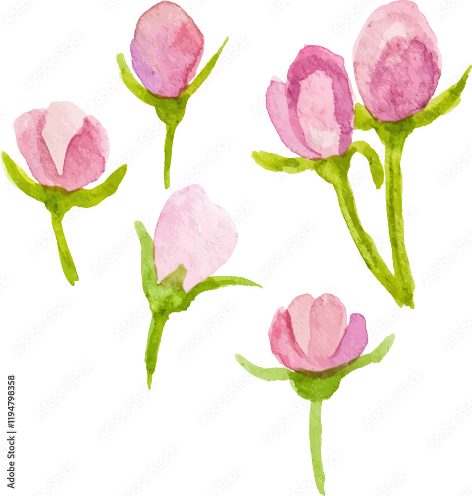 Fototapeta premium Vector Watercolor painted flower Hand drawn flower design element isolated on white background