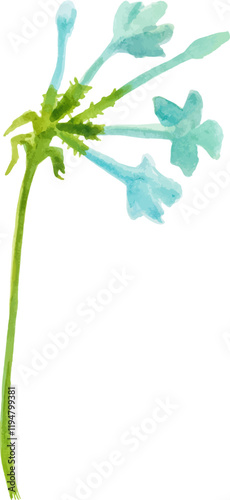 Wallpaper Mural Vector Watercolor painted flower Hand drawn flower design element isolated on white background Torontodigital.ca