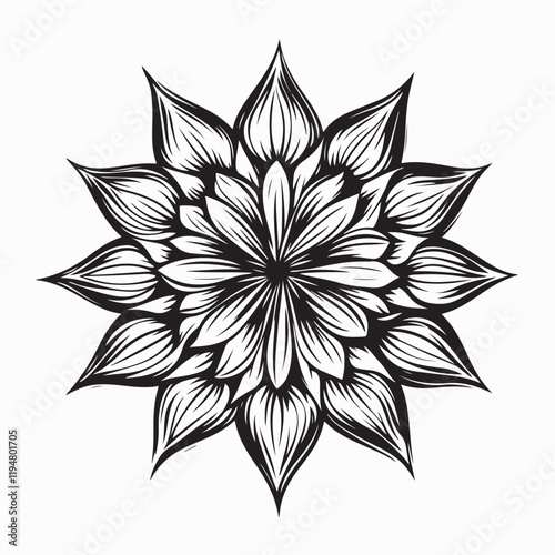 Beauty Aster Stock Illustrations. Black and white Aster Flower image vector.