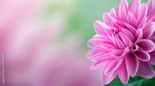 Delicate Pink Flower Bloom with Soft Focus Background in Pastel Hues of Green and Pink for Nature Lovers
