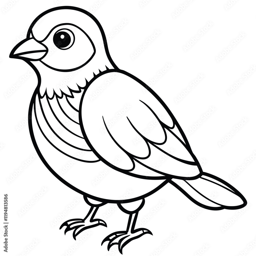 Hand drawn bird outline illustration Premium vector Hand drawn bird outline illustration Premium vector