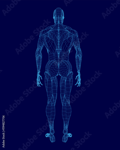 Digital image of a human body with a blue background. The body is depicted in a stylized and abstract manner, with the arms and legs appearing to be made of lines