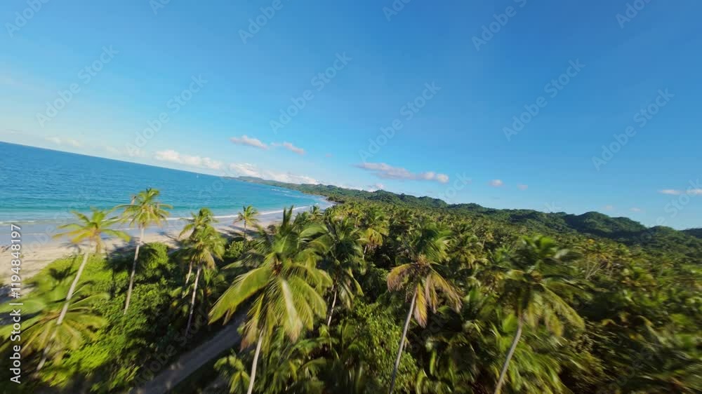 Aerial fpv over golden palm trees and sandy beach of Playa Rincon. Turquoise Caribbean sea at sunset time. Dominican Republic in summer. Wide shot. Aerial fpv over golden palm trees and sandy beach of Playa Rincon. Turquoise Caribbean sea at sunset time. Dominican Republic in summer. Wide shot.