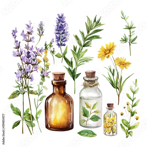 A watercolor of natural remedies for mental health, isolated on a white background. Natural Remedies for Mental Health vector.
