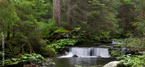 Wald mit kleinem Bach, Bayerischer Wald, Bayern, Deutschland, Europa, Panorama  photo