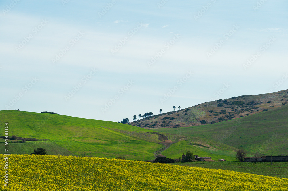 Fototapeta premium Matera province: spring countryside landscape