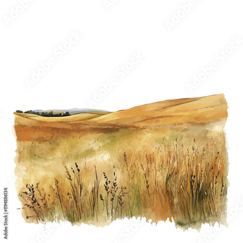 A watercolor drawing of grasslands and steppes, isolated on a white background. Grasslands and Steppes vector.
