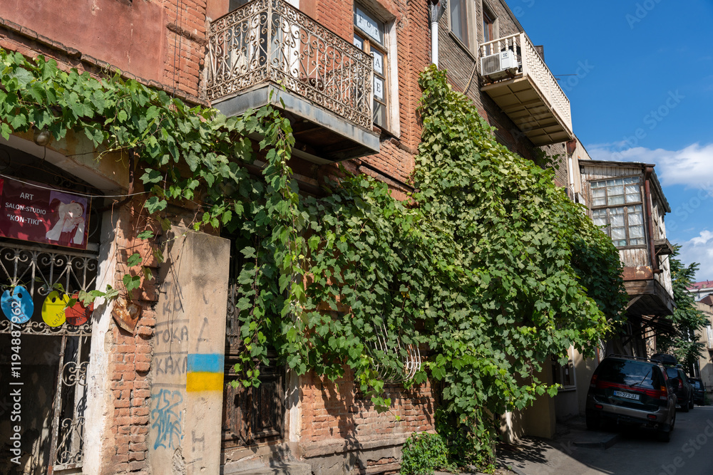 Fototapeta premium A building with ivy growing on it. The ivy is green and is covering the side of the building