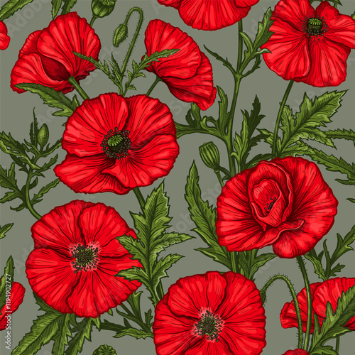 Seamless pattern with hand drawn Poppy flowers. Vector illustration of summer poppy flowers, buds and leaves. Botanical colored drawing of blossom for textile design. Vintage engraved style