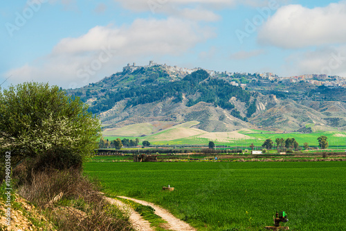 Matera province: spring countryside landscape  photo