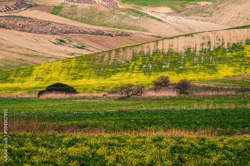 Matera province: spring countryside landscape  photo