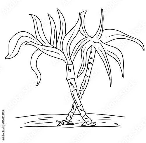 Cute cartoon hand drawn vector sugarcane outline.