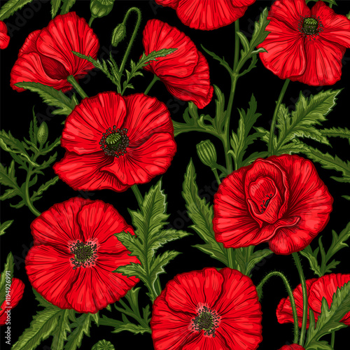 Seamless pattern with hand drawn bright red Poppy flowers on a black background. Vector illustration of summer poppy flowers, buds and leaves. Botanical colored drawing of blossom for textile design