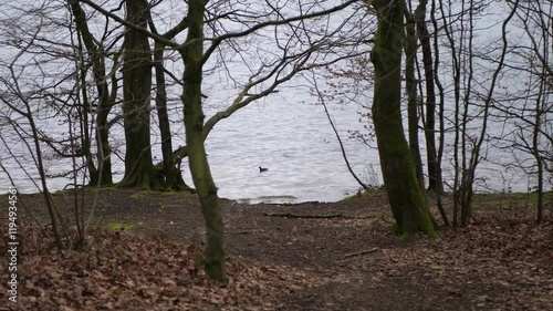 Lac de l'Eau d'Heure - Scenic Belgian Lake and Leisure Destination