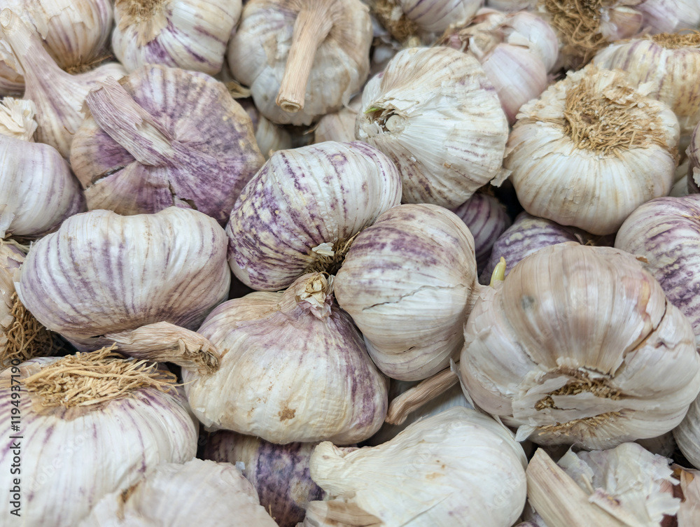 garlic, vegetables, natural, tasty, autumn, stall, beautiful, fo garlic, vegetables, natural, tasty, autumn, stall, beautiful, fo