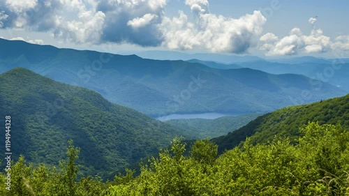 Wallpaper Mural Smokey mountains summer woods. Appalachian mountains in North Carolina with fresh green forest trees in summertime season. Beauty of USA nature Torontodigital.ca