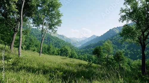Serene Mountain Valley Landscape