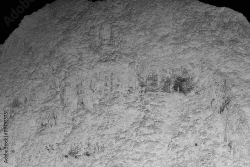 landscape in the mountains in black and white film negative