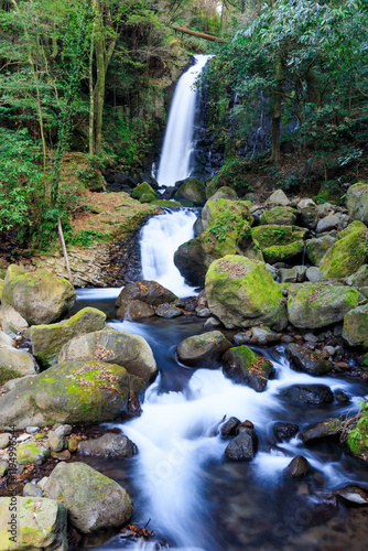 冬の白糸の滝　熊本県西原村　Shiraito Falls in winter. Kumamoto pref, Nishihara village. photo