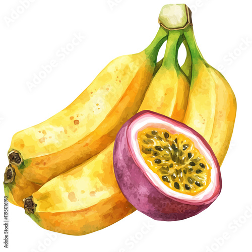 A watercolor painting of Banana Passionfruit, isolated on a white background. Banana Passionfruit vector.
