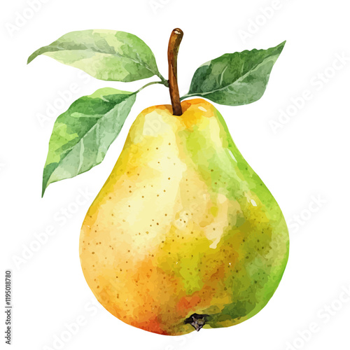 A watercolor clipart of an Apple Pear, isolated on a white background. Apple Pear vector.
