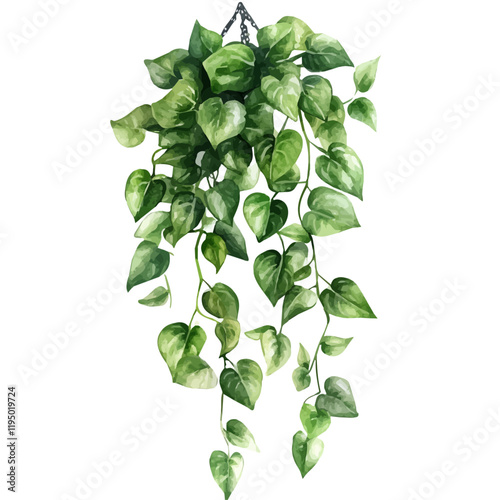 A watercolor painting of a Watch Chain Plant, isolated on a white background. Watch Chain Plant vector.
