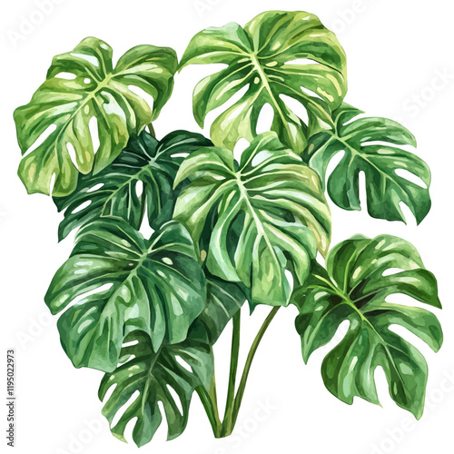 A watercolor drawing of a tree philodendron, isolated on a white background. Tree philodendron vector.
