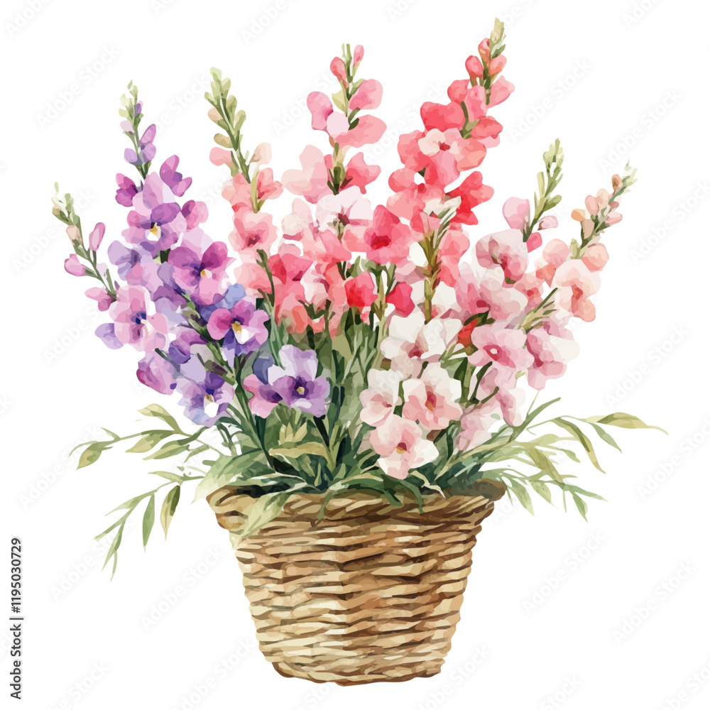 A watercolor of a snapdragon bouquet in a basket, isolated on a white background. Snapdragon bouquet vector.
A watercolor of a snapdragon bouquet in a basket, isolated on a white background. Snapdragon bouquet vector.