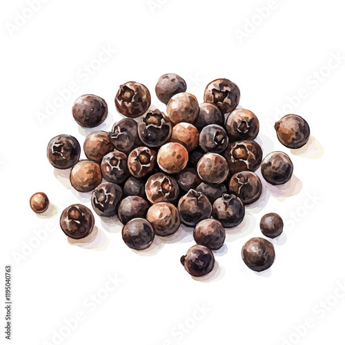 A watercolor of a Peppercorn, isolated on a white background. Peppercorn vector.
