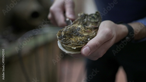 Hands opening raw oyster with knife photo