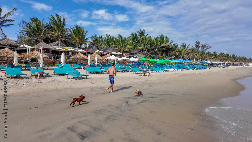 A man of Caucasian descent walks dogs along a sunny tropical beach lined with empty lounge chairs, embodying a tranquil vacation vibe A man of Caucasian descent walks dogs along a sunny tropical beach lined with empty lounge chairs, embodying a tranquil vacation vibe