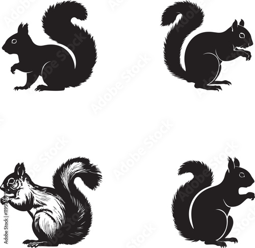 set of squirrel