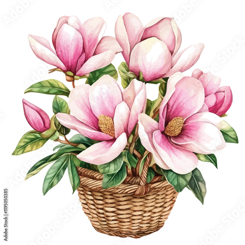 A watercolor of a Magnolia bouquet in a basket, isolated on a white background. Magnolia vector.
