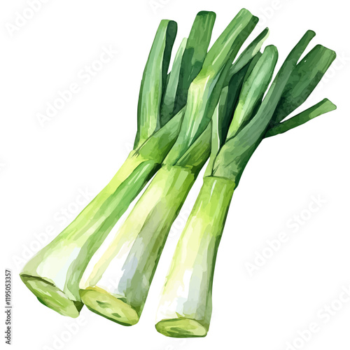 A watercolor vector of Leek, isolated on a white background. Leek vector.
