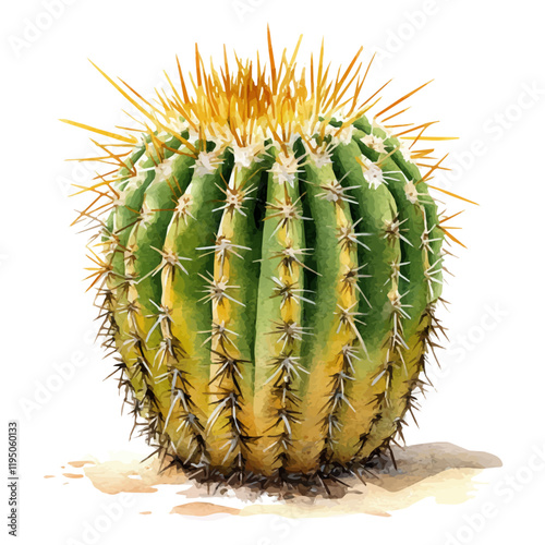 A watercolor of Golden Barrel Cactus, isolated on a white background. Golden Barrel Cactus vector.














