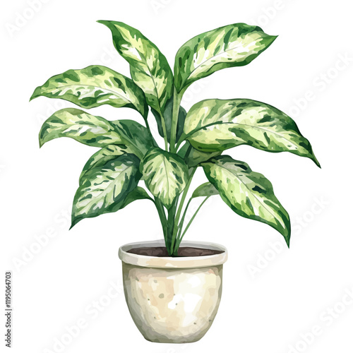 A watercolor illustration of Dumb Cane, isolated on a white background. Dumb Cane vector.
